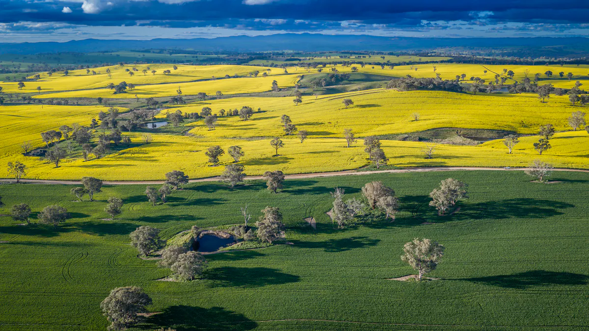 'Newry Downs' 91 Kenny's Lane, Lyndhurst, NSW, 2797 - Image 1