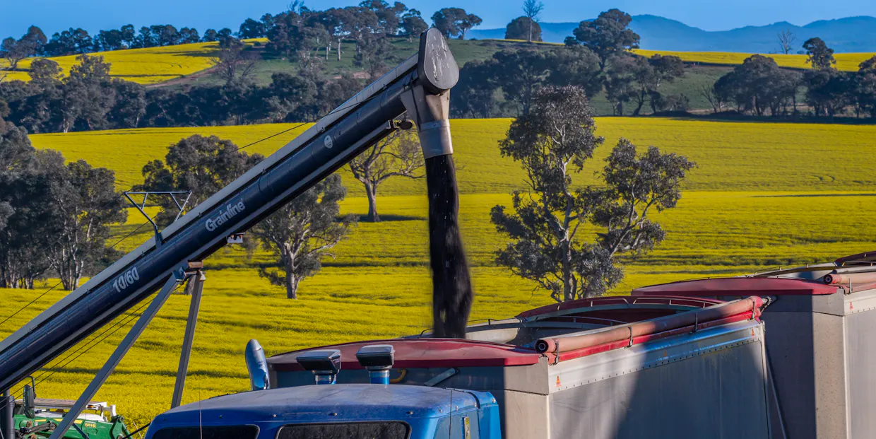 'Newry Downs' 91 Kenny's Lane, Lyndhurst, NSW, 2797 - Image 4