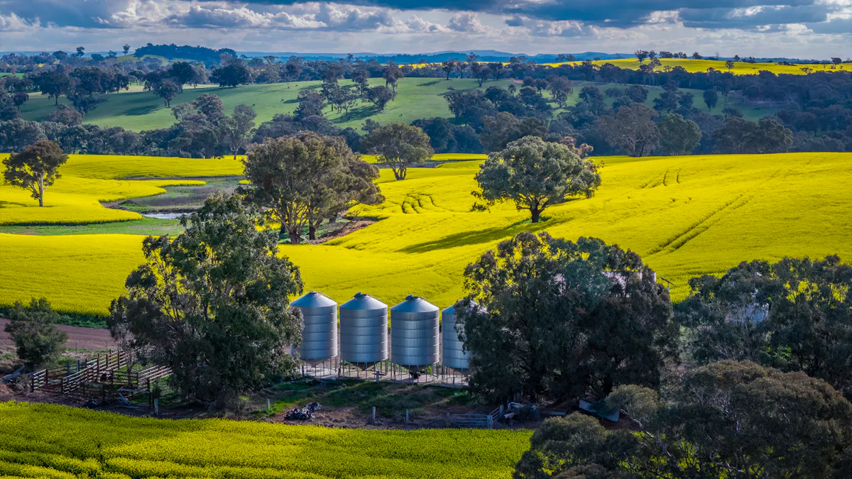 'Newry Downs' 91 Kenny's Lane, Lyndhurst, NSW, 2797 - Image 5