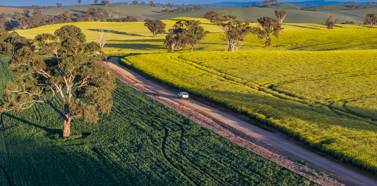 'Newry Downs' 91 Kenny's Lane, Lyndhurst, NSW, 2797 - Image 6