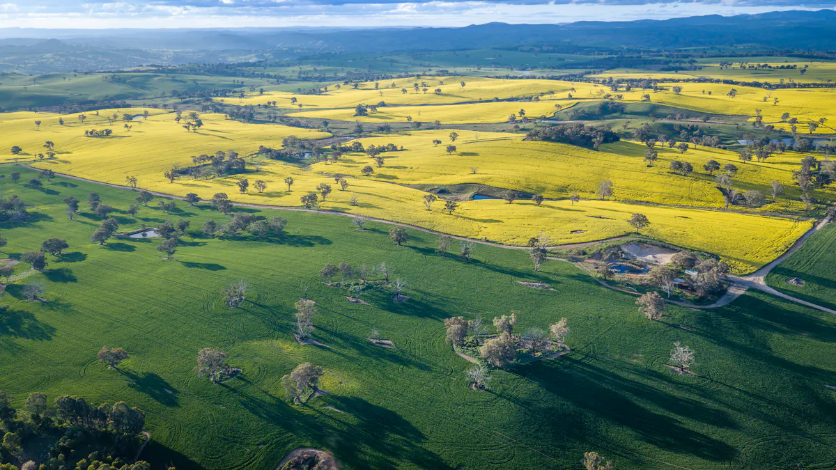 'Newry Downs' 91 Kenny's Lane, Lyndhurst, NSW, 2797 - Image 8