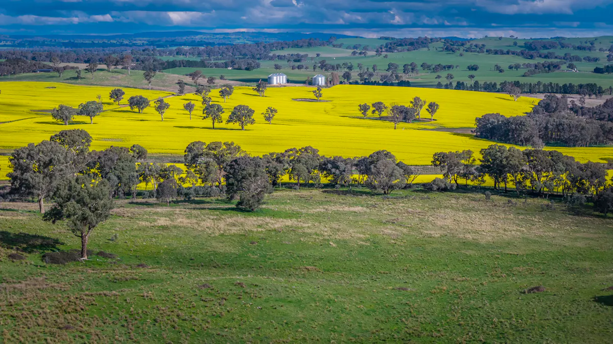 'Newry Downs' 91 Kenny's Lane, Lyndhurst, NSW, 2797 - Image 9