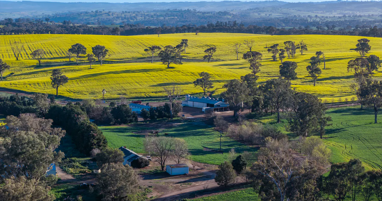 'Newry Downs' 91 Kenny's Lane, Lyndhurst, NSW, 2797 - Image 10