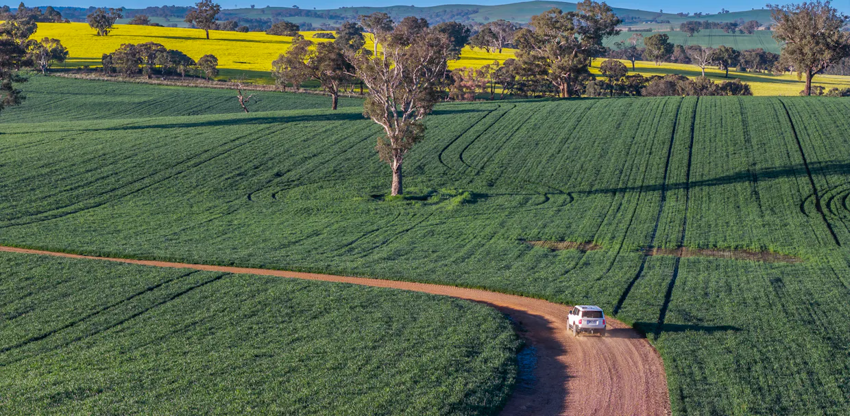 'Newry Downs' 91 Kenny's Lane, Lyndhurst, NSW, 2797 - Image 11