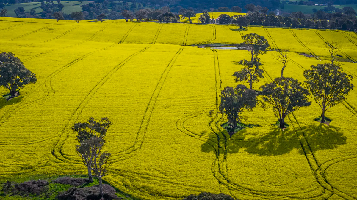 'Newry Downs' 91 Kenny's Lane, Lyndhurst, NSW, 2797 - Image 12