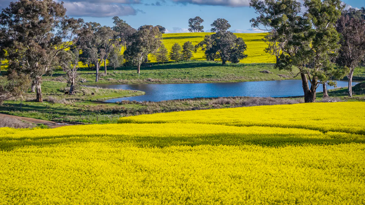 'Newry Downs' 91 Kenny's Lane, Lyndhurst, NSW, 2797 - Image 13