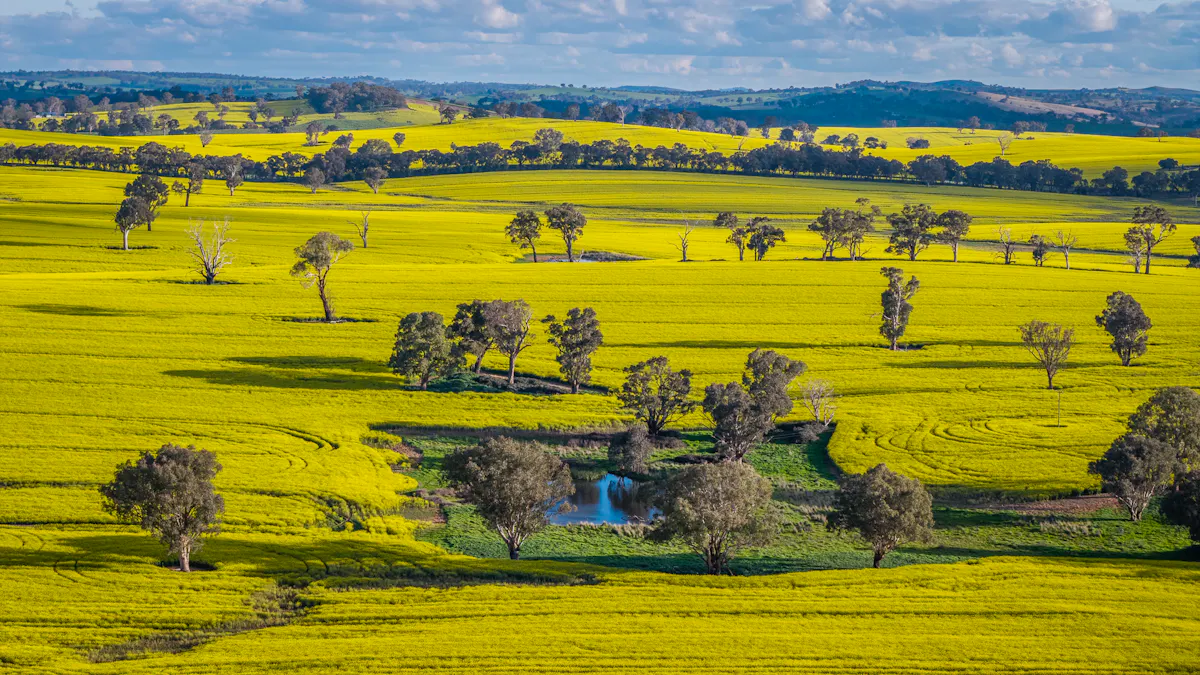 'Newry Downs' 91 Kenny's Lane, Lyndhurst, NSW, 2797 - Image 14