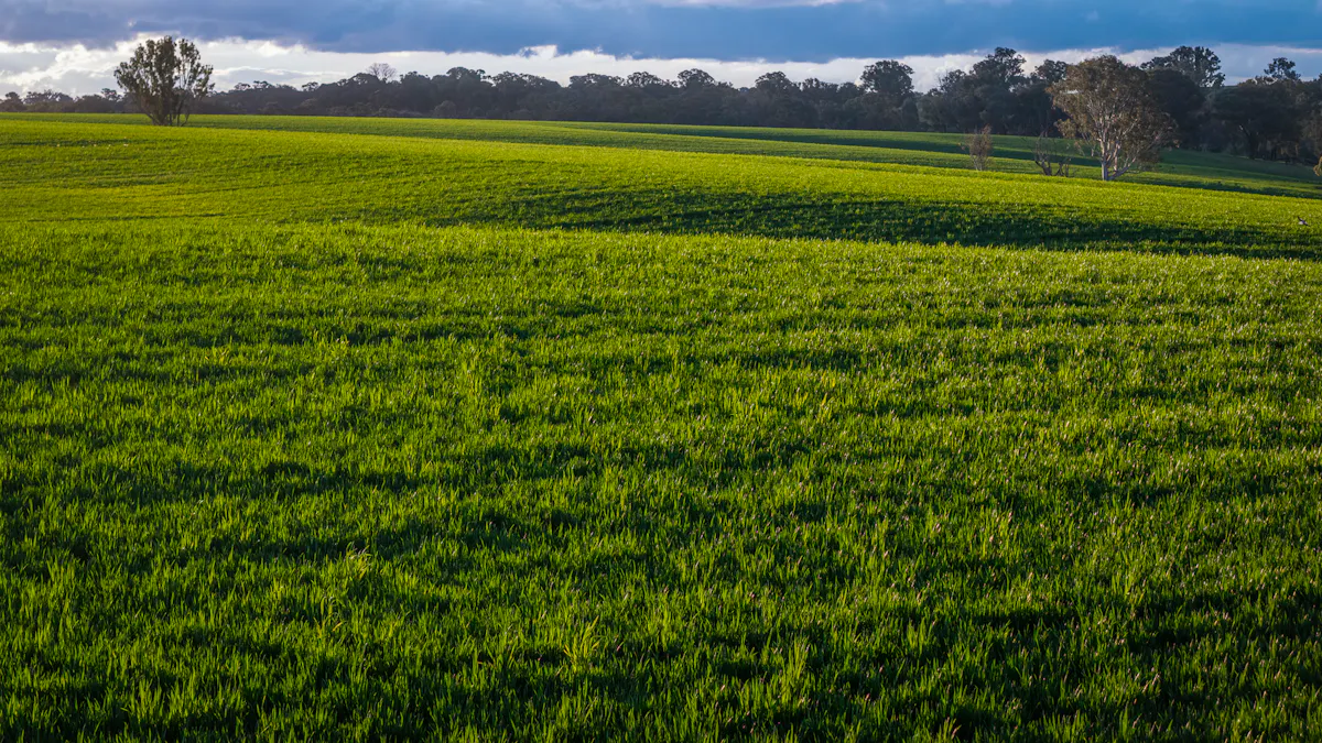 'Newry Downs' 91 Kenny's Lane, Lyndhurst, NSW, 2797 - Image 15