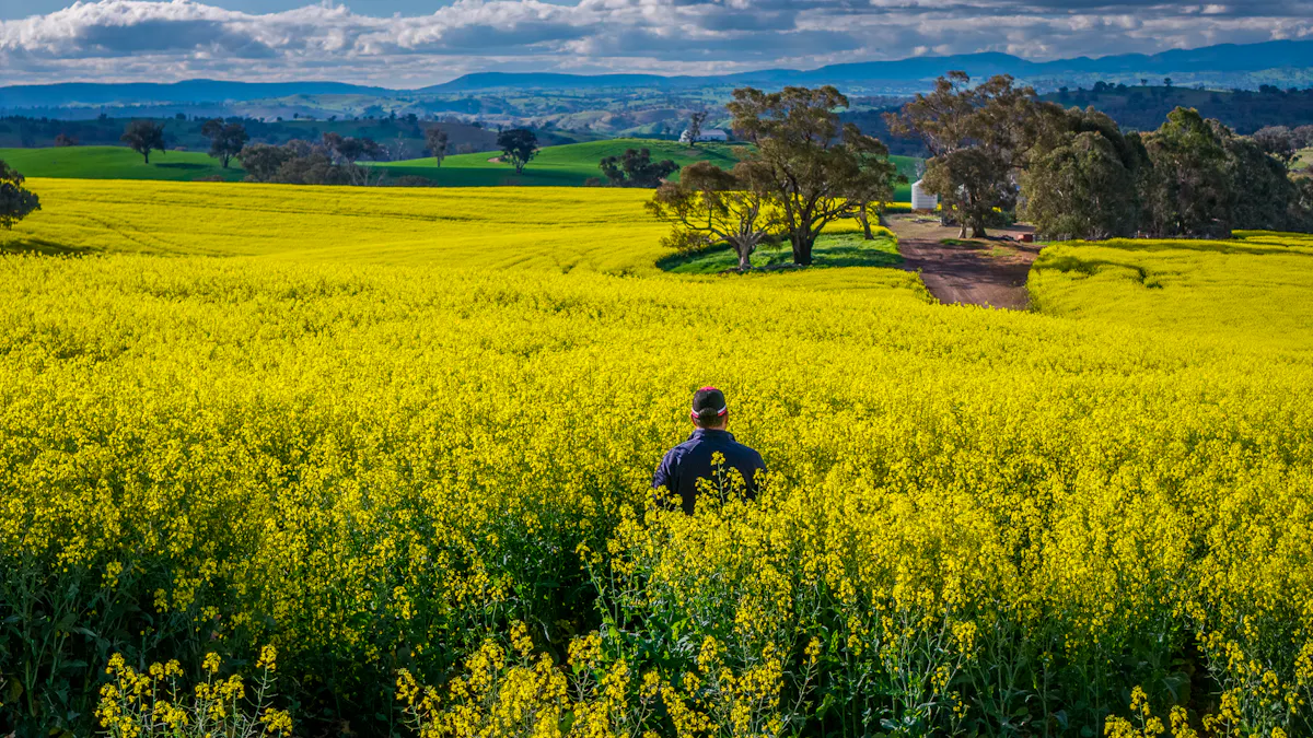 'Newry Downs' 91 Kenny's Lane, Lyndhurst, NSW, 2797 - Image 16