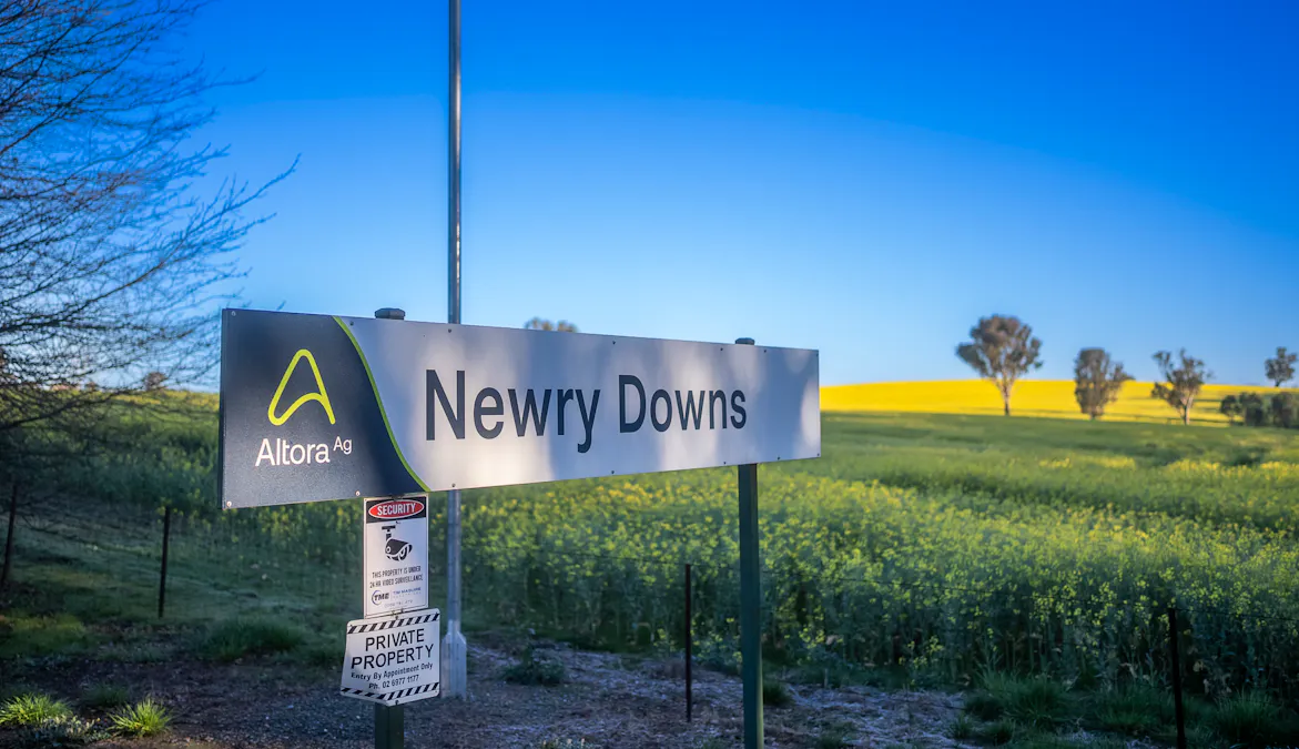 'Newry Downs' 91 Kenny's Lane, Lyndhurst, NSW, 2797 - Image 17