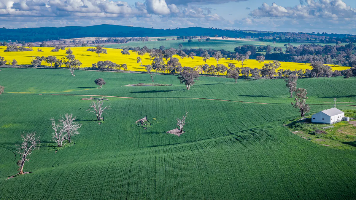 'Newry Downs' 91 Kenny's Lane, Lyndhurst, NSW, 2797 - Image 7