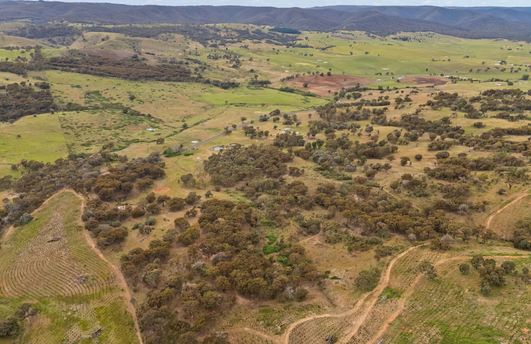 2975 Limekilns Road, Limekilns, NSW, 2795 - Image 14