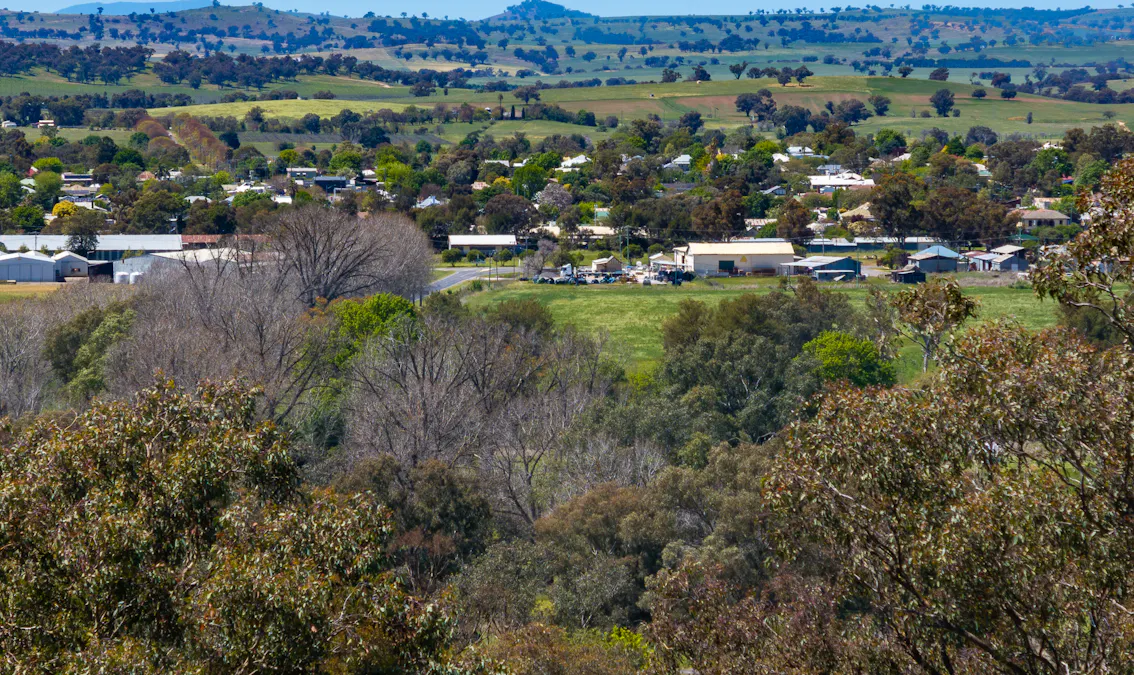 Lot 1 Nangar Road, Canowindra, NSW, 2804 - Image 11