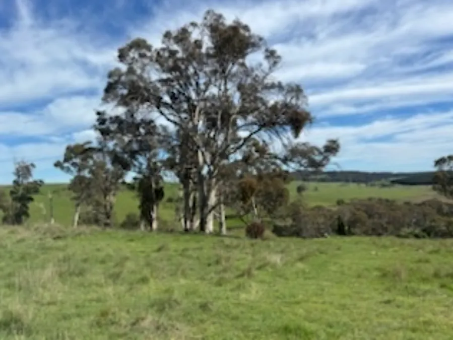 2000 Abercrombie Road, Black Springs, NSW, 2787 - Image 23