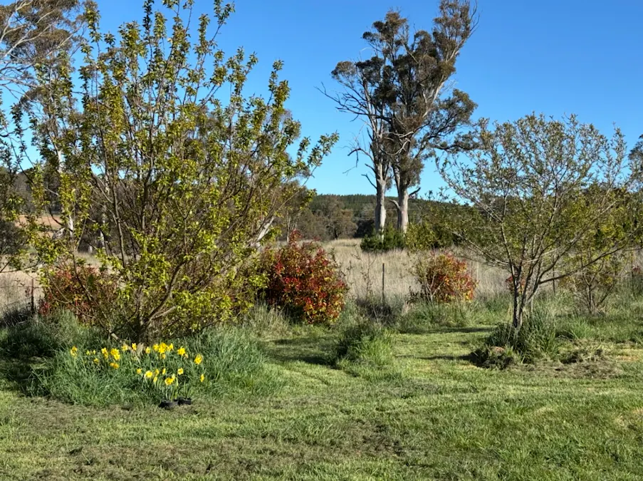 2000 Abercrombie Road, Black Springs, NSW, 2787 - Image 13