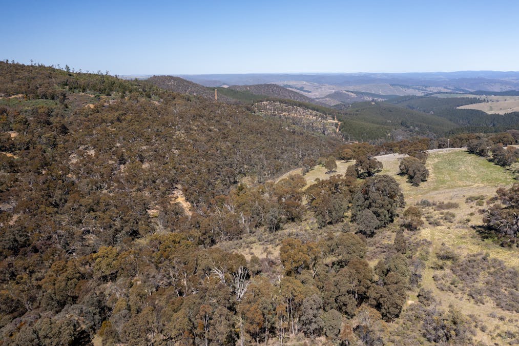 3713 Arkstone Road, Burraga, NSW, 2795 For Sale Elders Real Estate