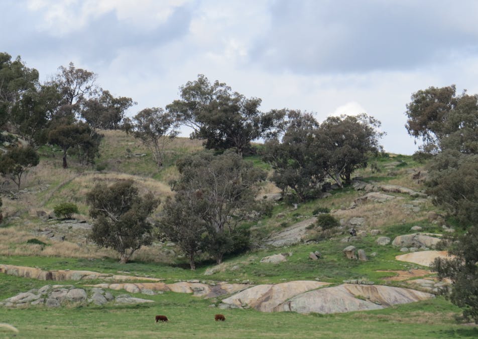 73 Mount McDonald Road, Darbys Falls, NSW, 2793 - Image 1