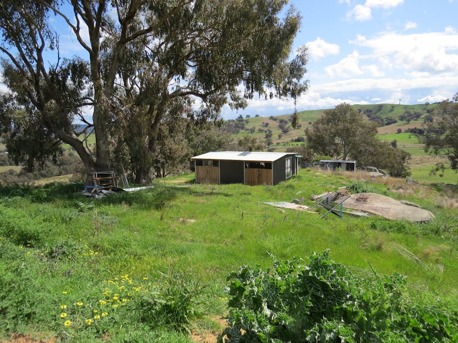 73 Mount McDonald Road, Darbys Falls, NSW, 2793 - Image 2