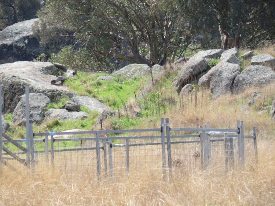 73 Mount McDonald Road, Darbys Falls, NSW, 2793 - Image 8