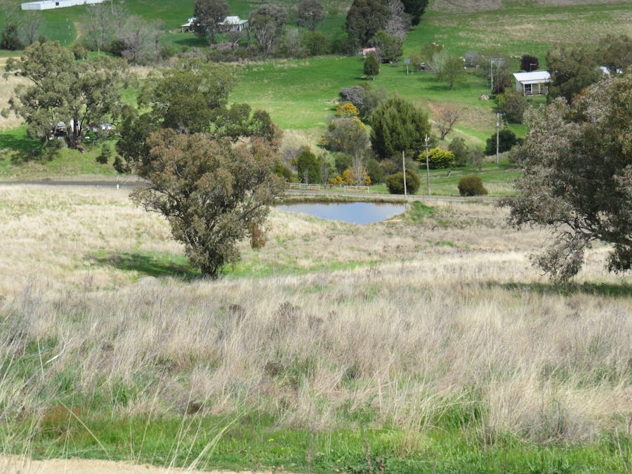 73 Mount McDonald Road, Darbys Falls, NSW, 2793 - Image 11