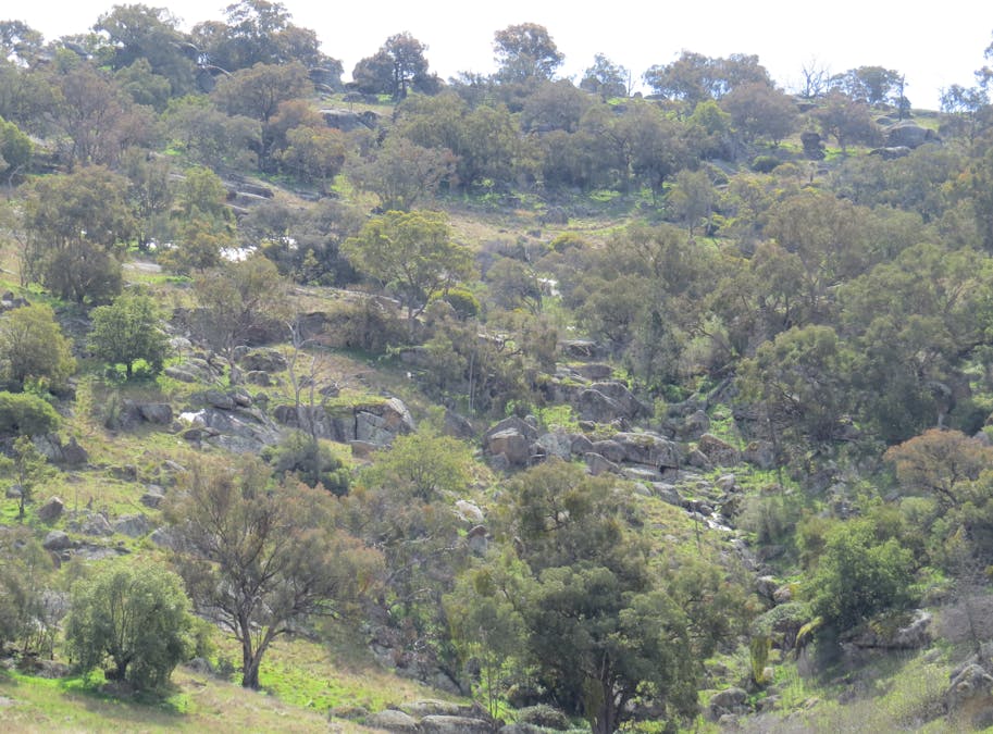 73 Mount McDonald Road, Darbys Falls, NSW, 2793 - Image 12