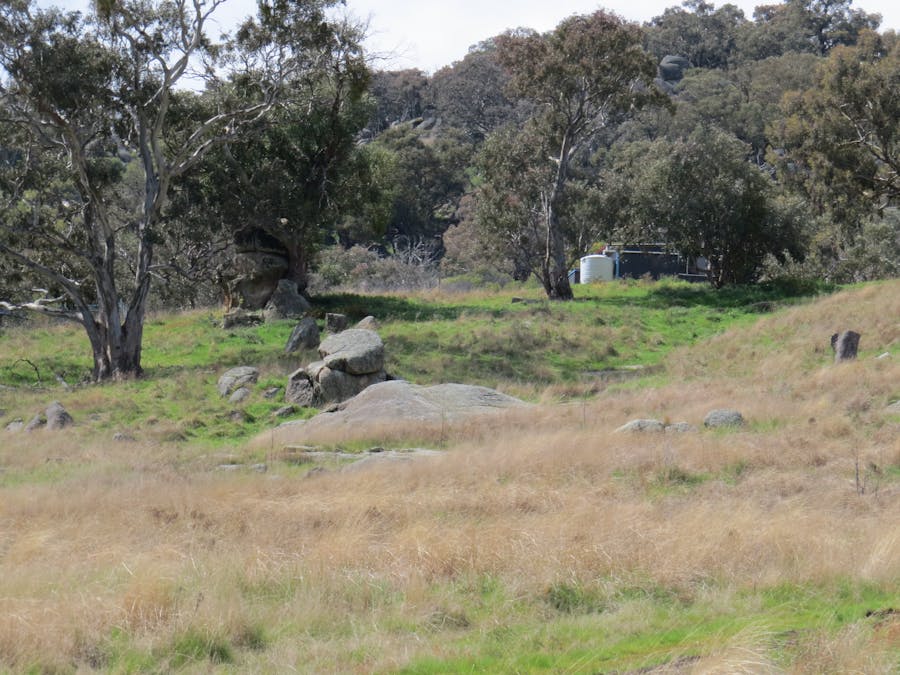 73 Mount McDonald Road, Darbys Falls, NSW, 2793 - Image 14