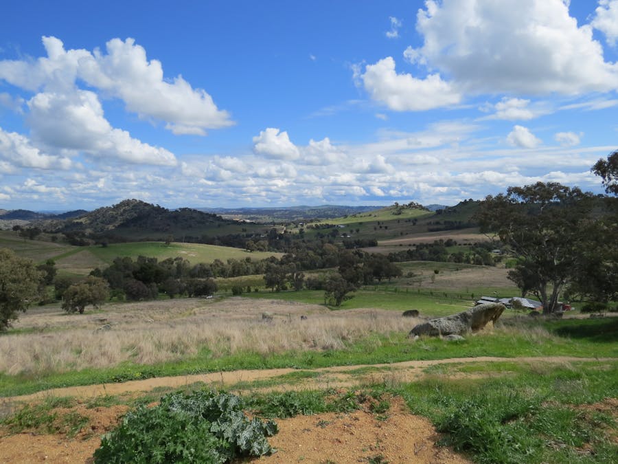 73 Mount McDonald Road, Darbys Falls, NSW, 2793 - Image 16