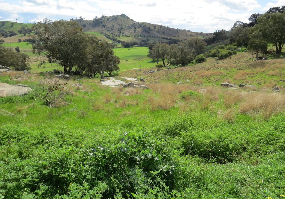 73 Mount McDonald Road, Darbys Falls, NSW, 2793 - Image 19