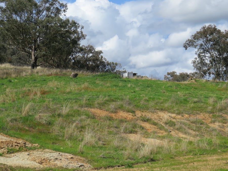 73 Mount McDonald Road, Darbys Falls, NSW, 2793 - Image 20