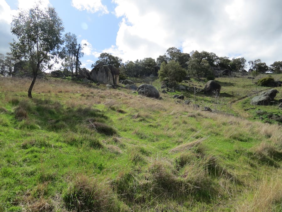 73 Mount McDonald Road, Darbys Falls, NSW, 2793 - Image 21