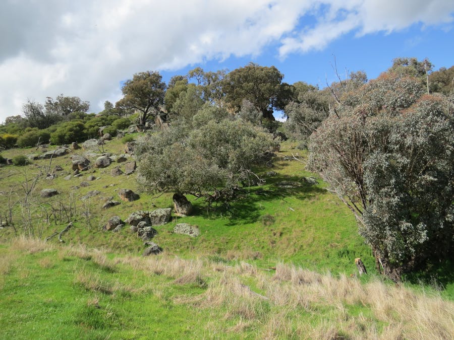 73 Mount McDonald Road, Darbys Falls, NSW, 2793 - Image 22