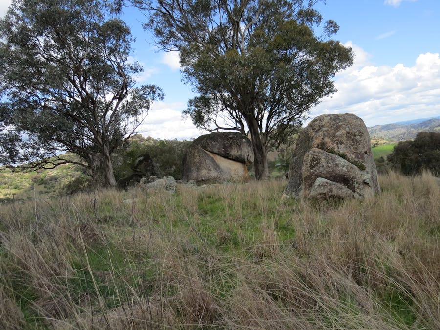 73 Mount McDonald Road, Darbys Falls, NSW, 2793 - Image 23