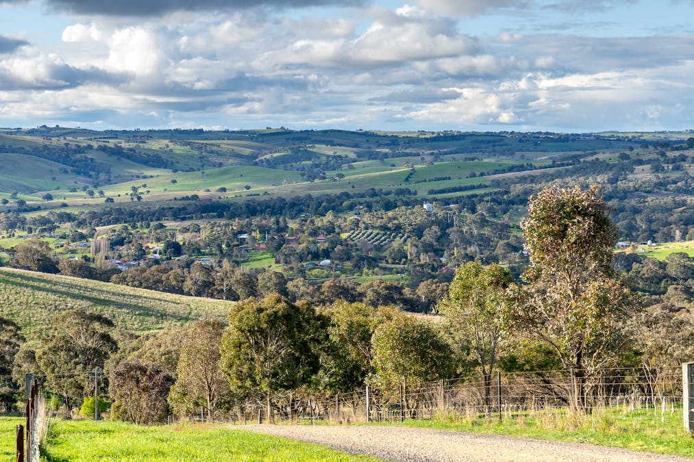 180 Mount Macquarie Road, Carcoar, NSW, 2791 - Image 3