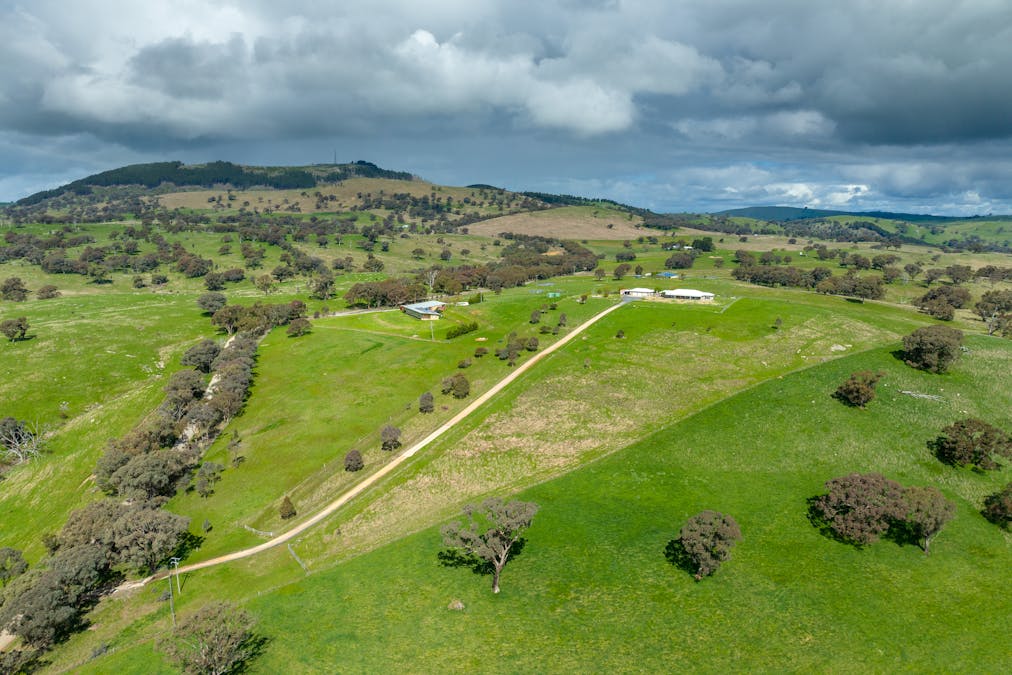180 Mount Macquarie Road, Carcoar, NSW, 2791 - Image 14