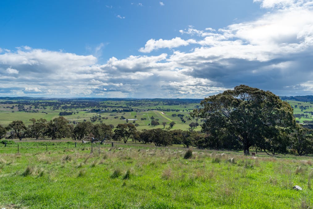 180 Mount Macquarie Road, Carcoar, NSW, 2791 - Image 28