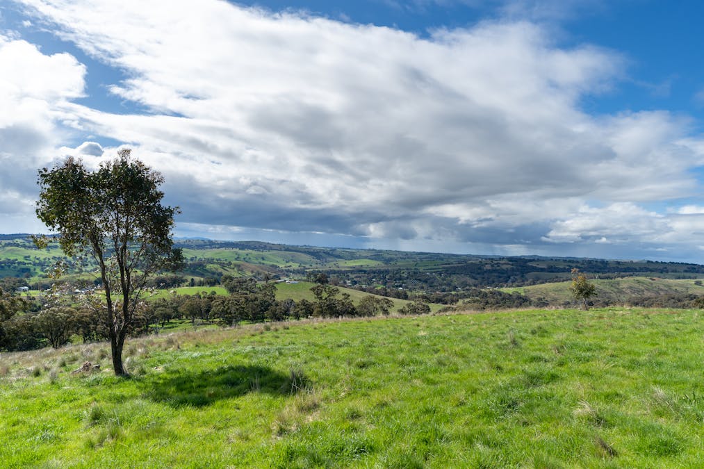 180 Mount Macquarie Road, Carcoar, NSW, 2791 - Image 29