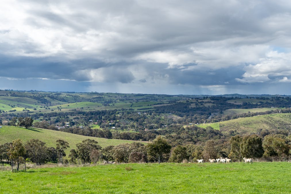180 Mount Macquarie Road, Carcoar, NSW, 2791 - Image 30