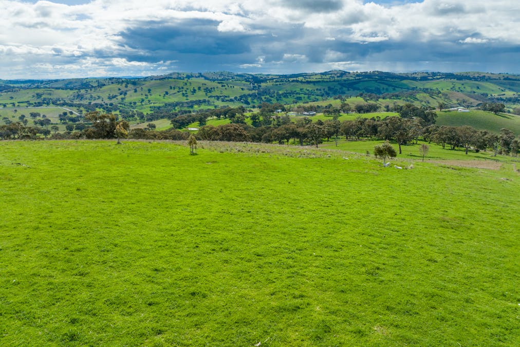 180 Mount Macquarie Road, Carcoar, NSW, 2791 - Image 33