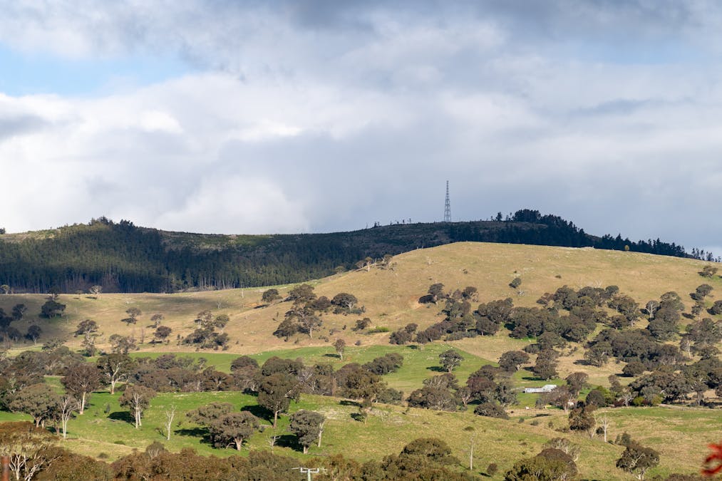180 Mount Macquarie Road, Carcoar, NSW, 2791 - Image 26