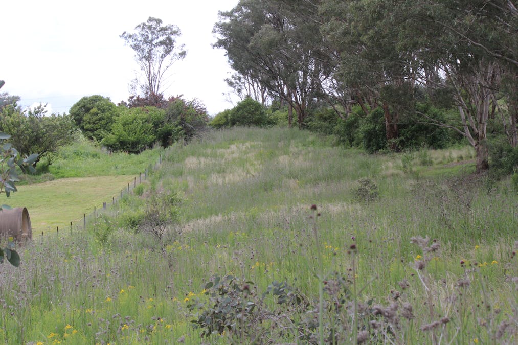 71 Mudgee Street, Sofala, NSW, 2795 - Image 1