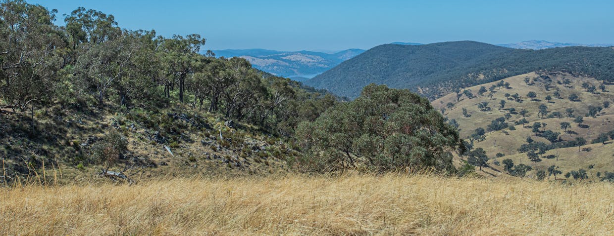 Lot 2 Reg Hailstone Way, Woodstock, NSW, 2793 - Image 1