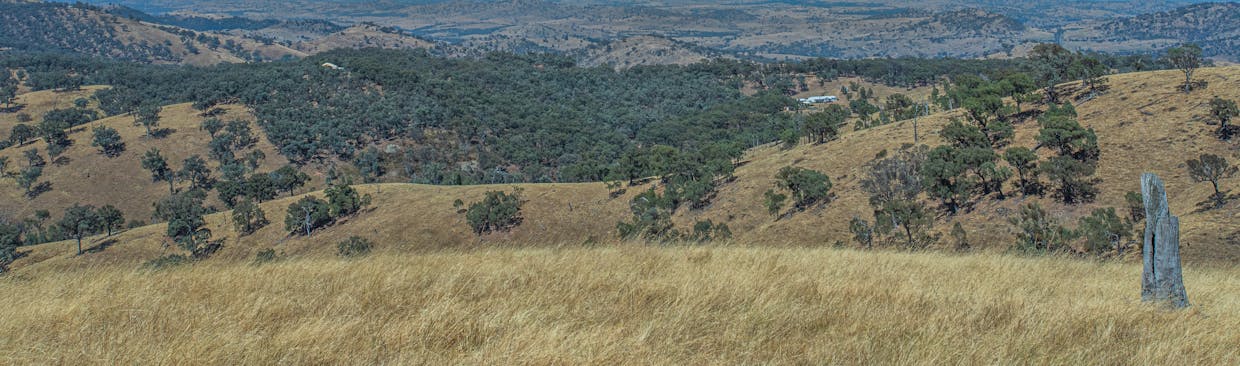 Lot 2 Reg Hailstone Way, Woodstock, NSW, 2793 - Image 2