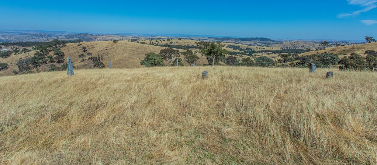 Lot 2 Reg Hailstone Way, Woodstock, NSW, 2793 - Image 3