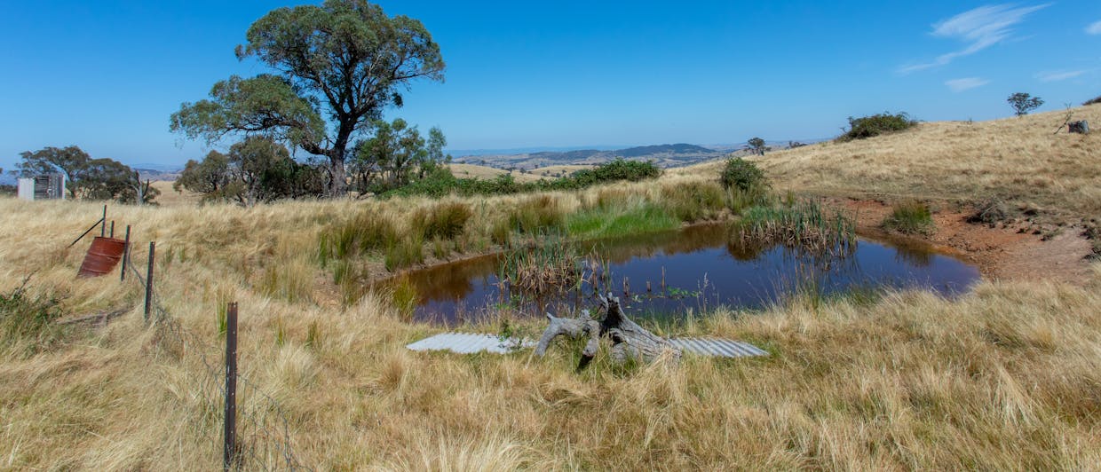 Lot 2 Reg Hailstone Way, Woodstock, NSW, 2793 - Image 5