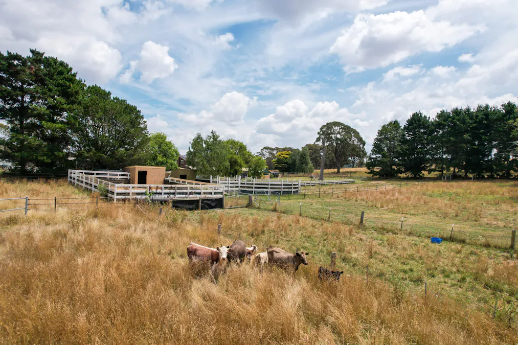 730 Hobbys Yards Road, Arkell, NSW, 2795 - Image 30