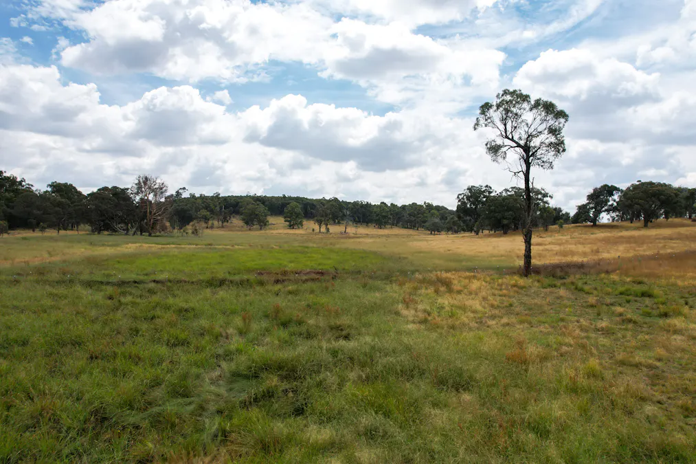 730 Hobbys Yards Road, Arkell, NSW, 2795 - Image 33