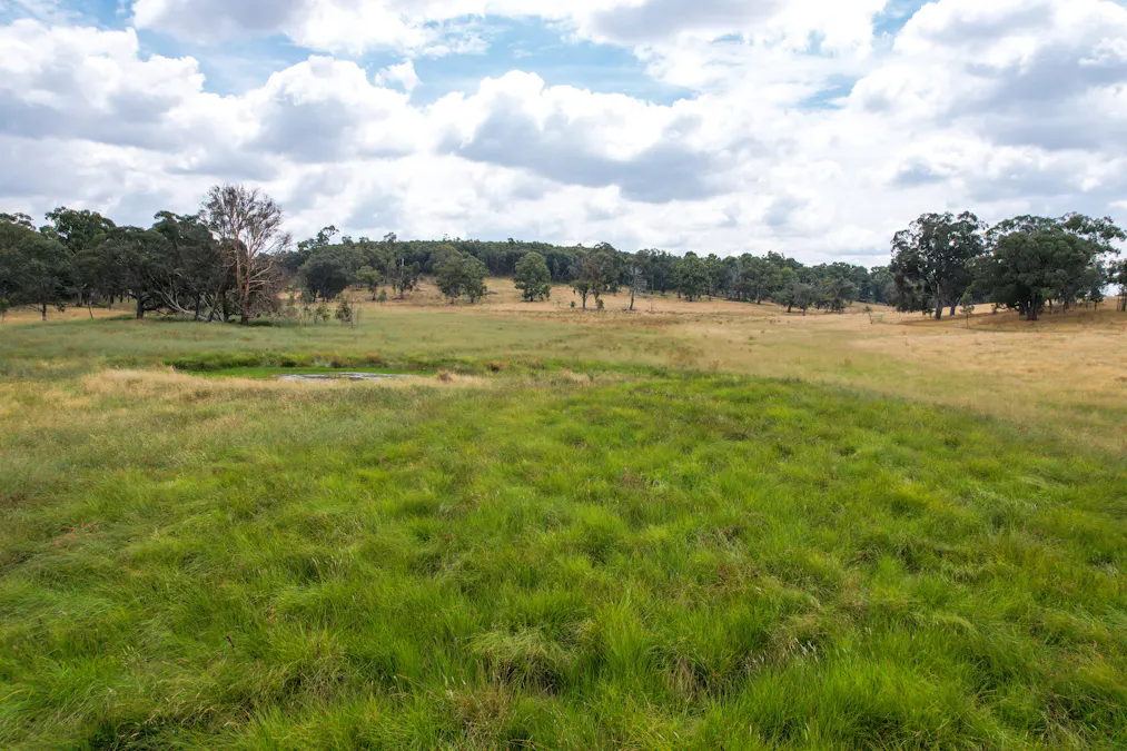 730 Hobbys Yards Road, Arkell, NSW, 2795 - Image 35