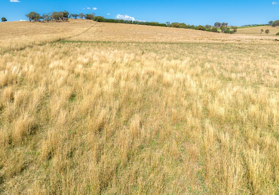 55 Carbine Road, Forest Reefs, NSW, 2798 - Image 24