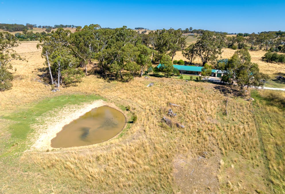 55 Carbine Road, Forest Reefs, NSW, 2798 - Image 25