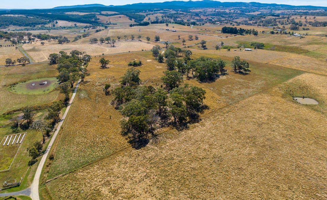 55 Carbine Road, Forest Reefs, NSW, 2798 - Image 29